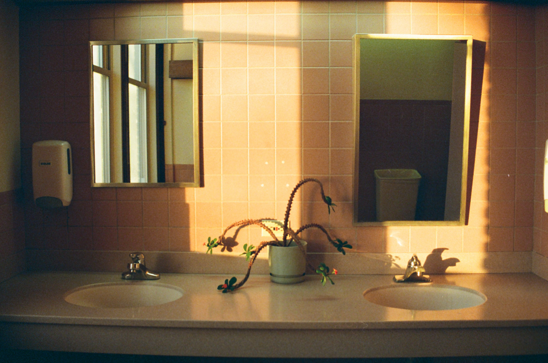 Analog